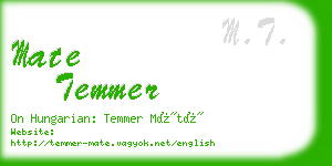 mate temmer business card